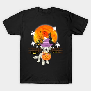 Poodle Dog Witch Halloween Pumpkin T-Shirt